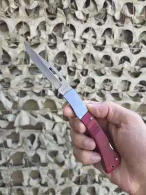 Ծալովի Long Snake